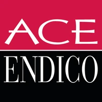 Ace Endico